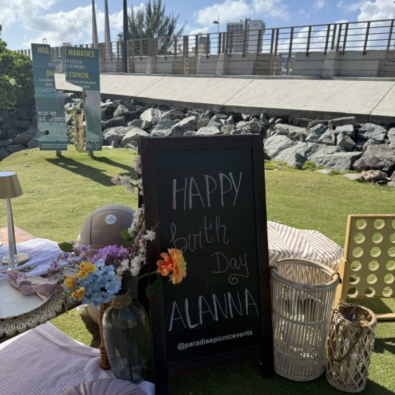 038DD349-E019-4096-9B61-33B997573759 (Large)