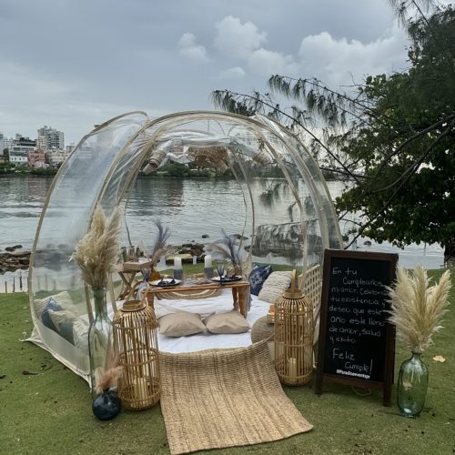 F3E4DCA1-82AA-40FF-AB62-6C8072A17FC1.jpeg (Large)